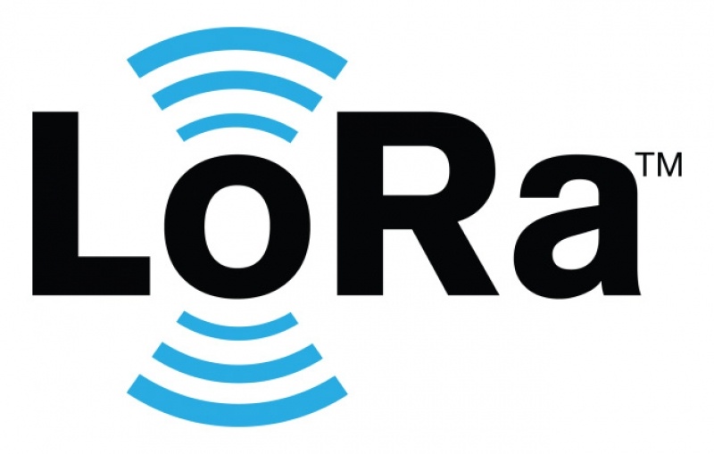 Wireless Module